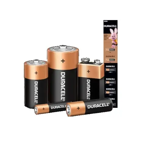 PILAS DURACELL